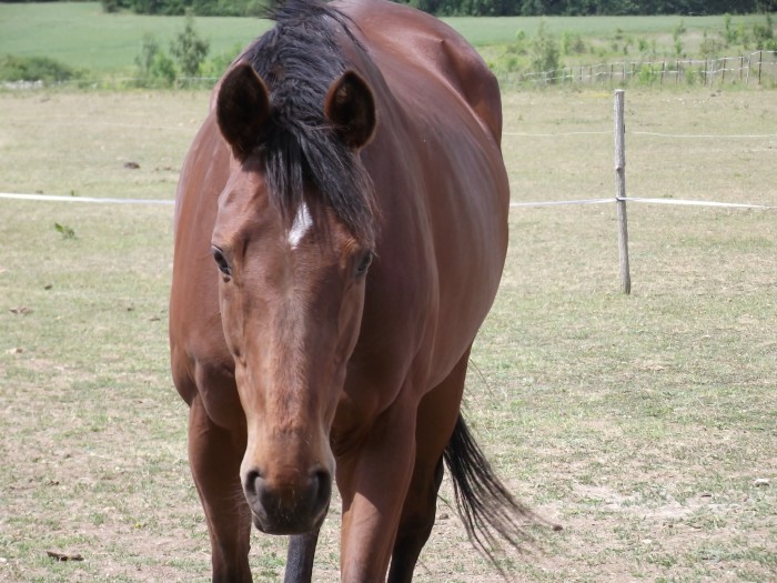 Photo de profil de cissyfl