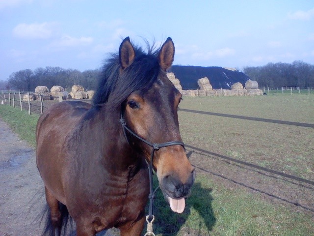 Photo de profil de paulineklock