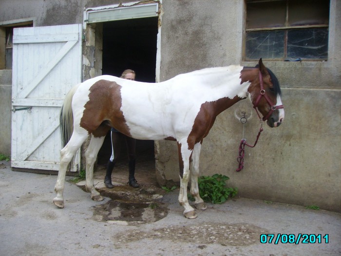 Photo de profil de tennessyetmoi