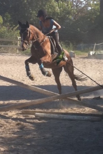 Photo de profil de syphax