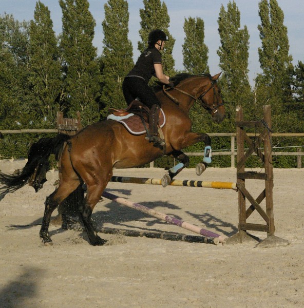 Photo de profil de didie79