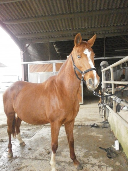 Photo de profil de carinha