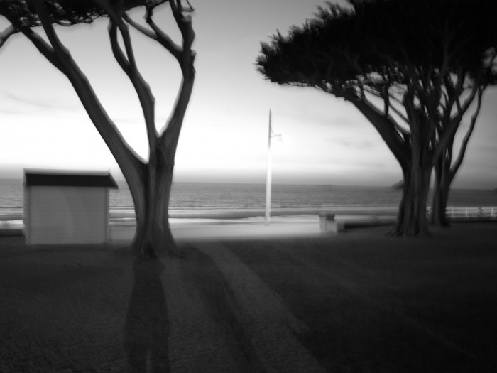 Photo de profil de somewhere