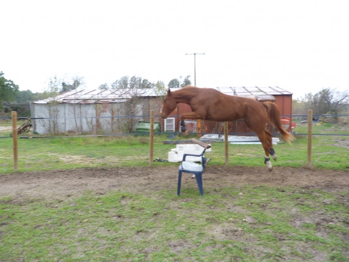 Photo de profil de ucass