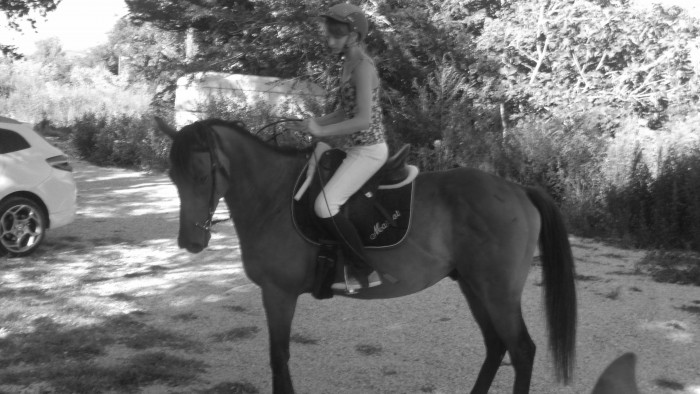 Photo de profil de margotroux