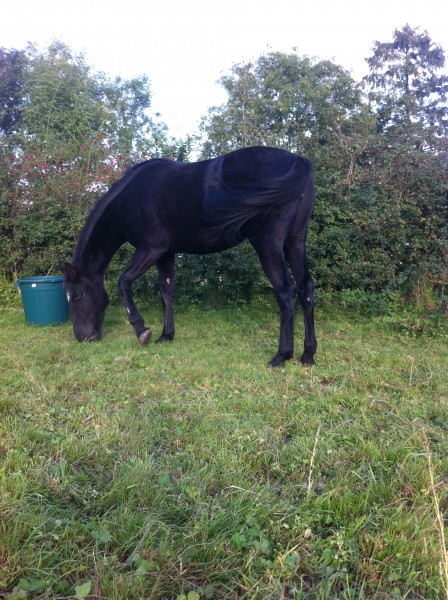 Photo de profil de trucia76