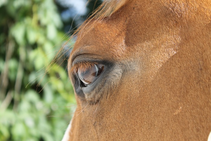 Photo de profil de dunette