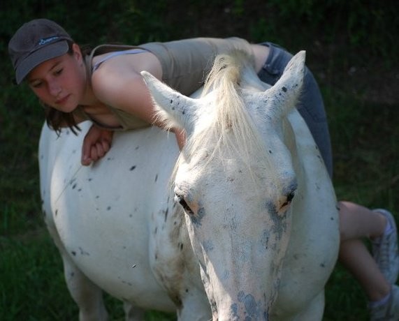 Photo de profil de horse_1996