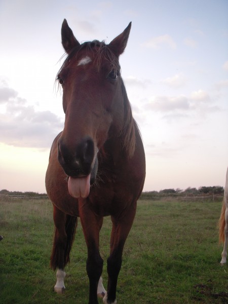 Photo de profil de deborah1807
