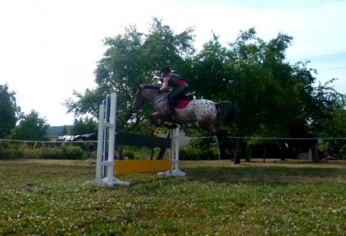 Photo de profil de orphee91