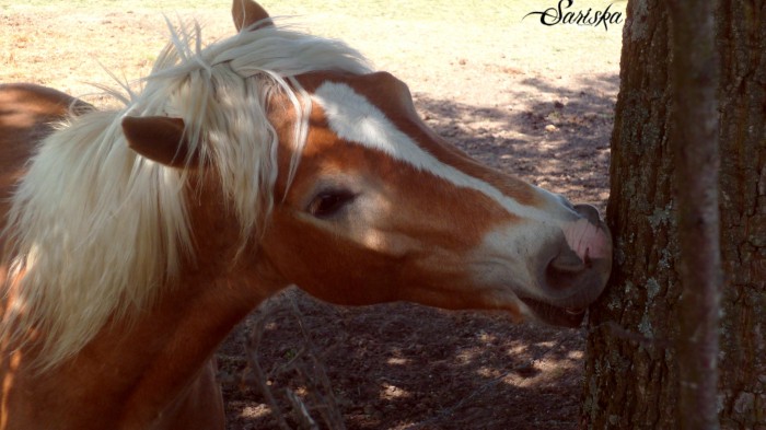 Photo de profil de lauriebou26