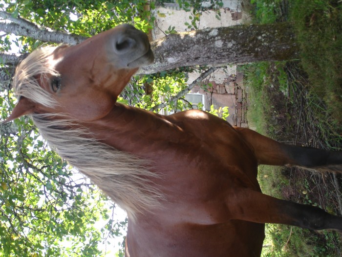 Photo de profil de fredericbenoit