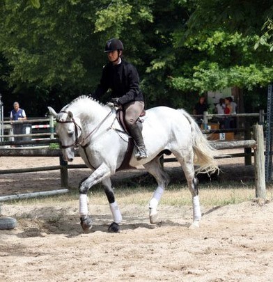 Photo de profil de audreys912