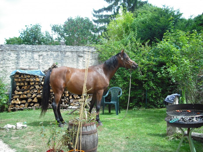 Photo de profil de emmanuelle37