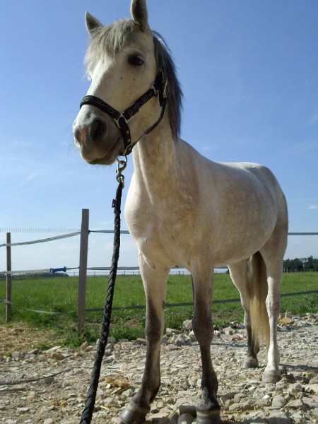 Photo de profil de pinou91