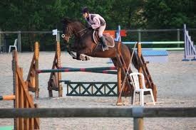 Photo de profil de lollipop35