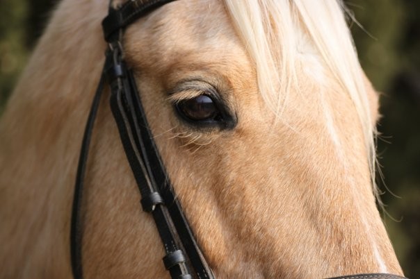 Photo de profil de fifou30