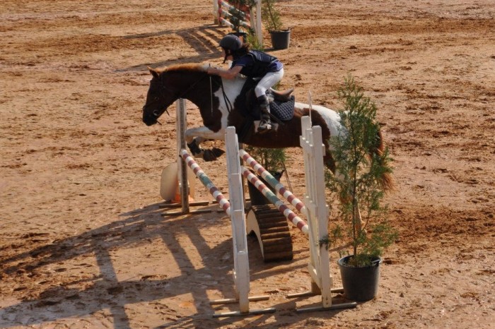 Photo de profil de qocaine