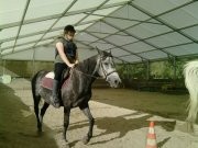 Photo de profil de gwaenvultopie70