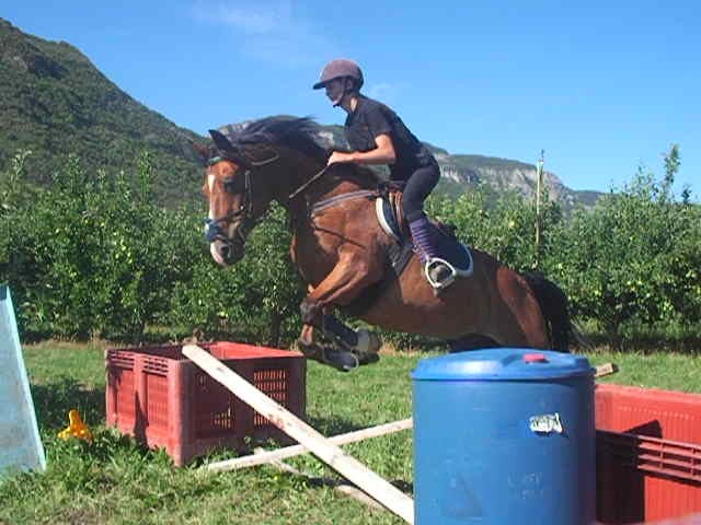 Photo de profil de nanoucheeagle