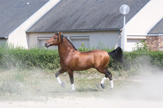 Photo de profil de romain001