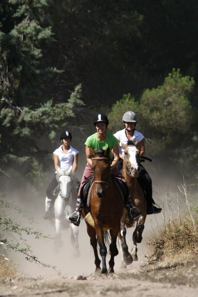 Photo de profil de ranchsagone