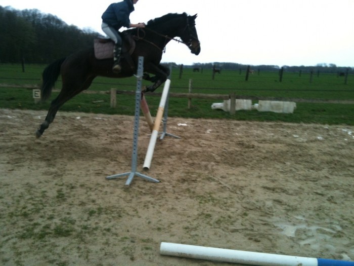 Photo de profil de azamour77