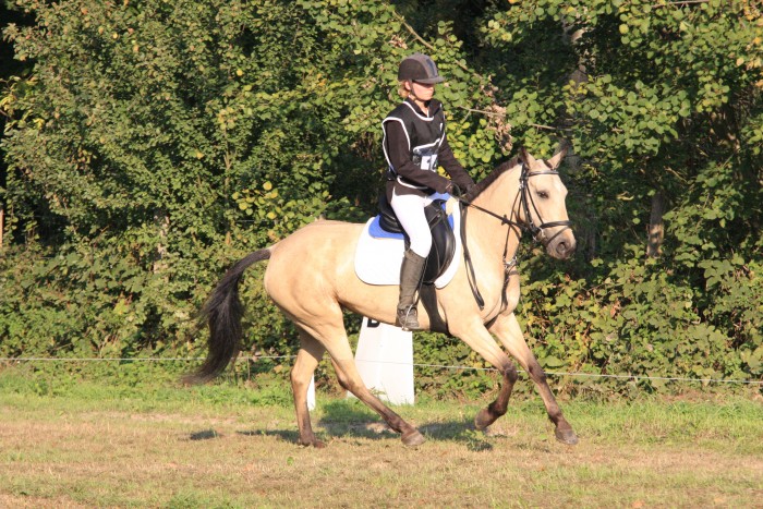 Photo de profil de elodie.paw
