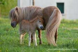 Photo de profil de flo66