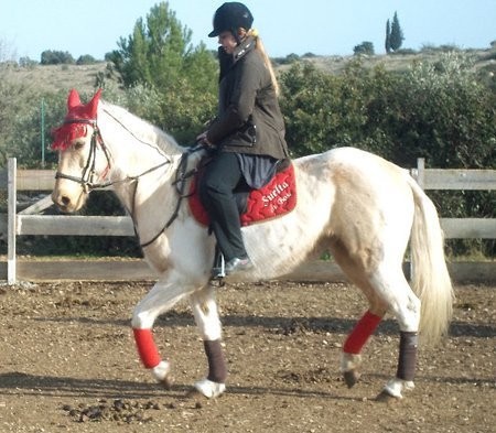Photo de profil de alicereze