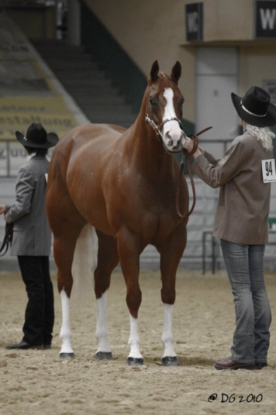 Photo de profil de drifter