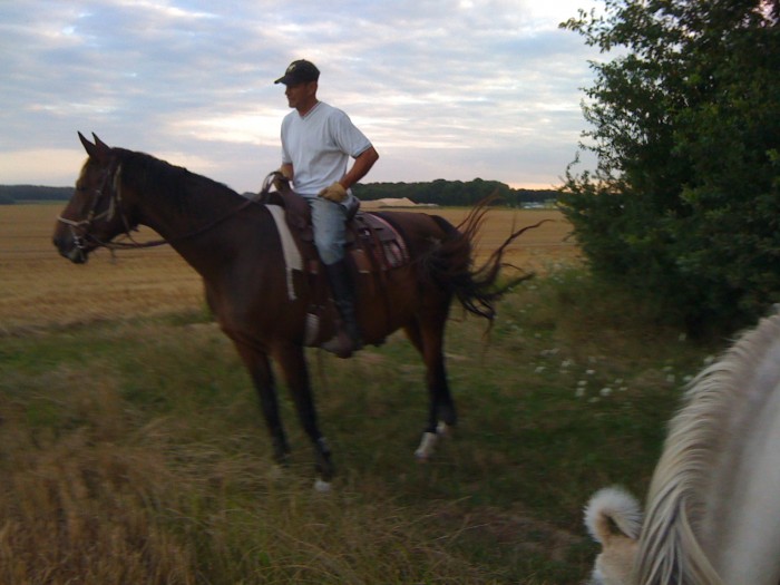 Photo de profil de stephylo