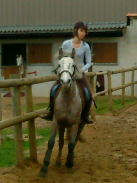 Photo de profil de chevaldp44