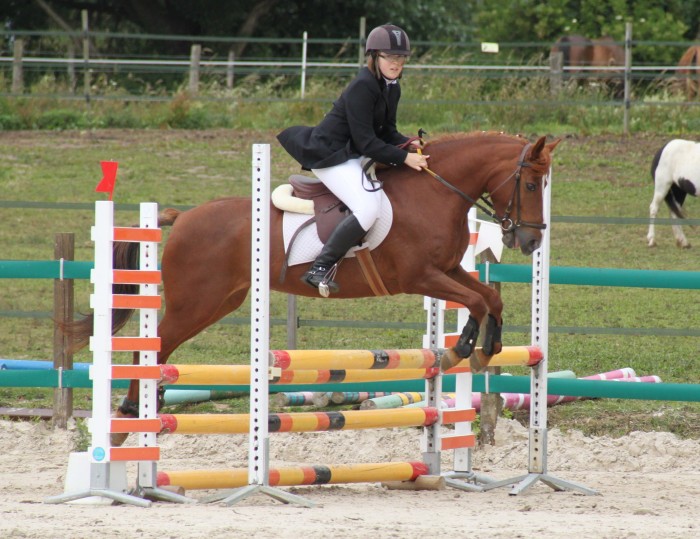 Photo de profil de mortille