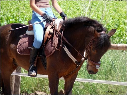 Photo de profil de loupettexx