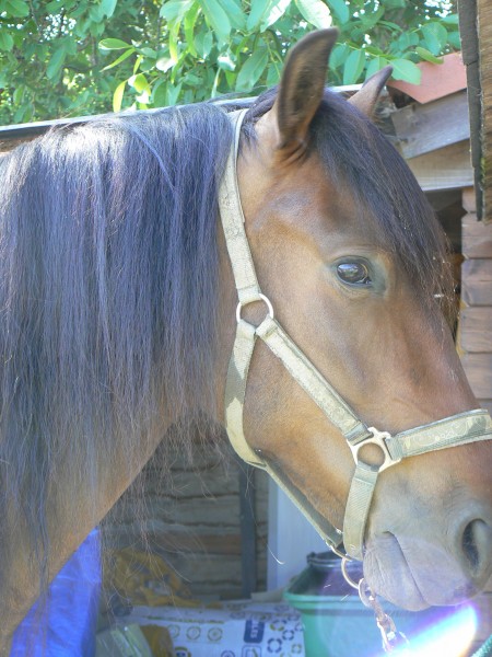 Photo de profil de mas31