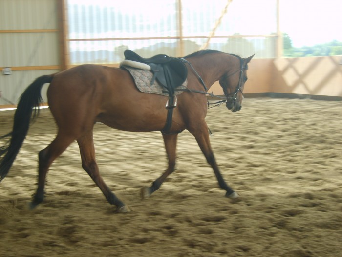 Photo de profil de ger67