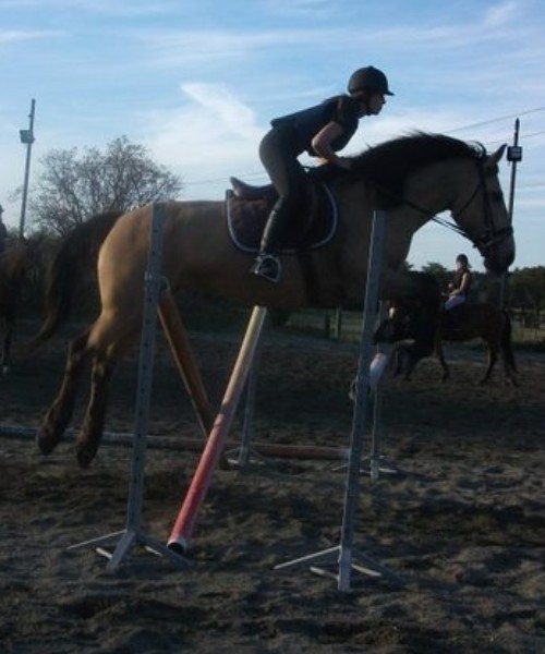 Photo de profil de sarahandrea