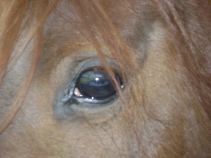 Photo de profil de samba54