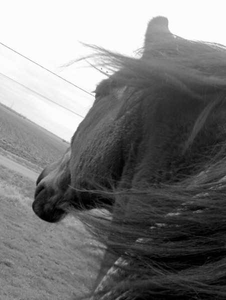 Photo de profil de cirati