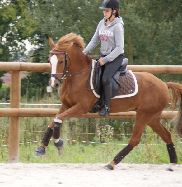 Photo de profil de jujujlie