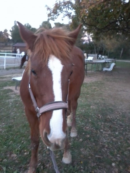 Photo de profil de melkiba