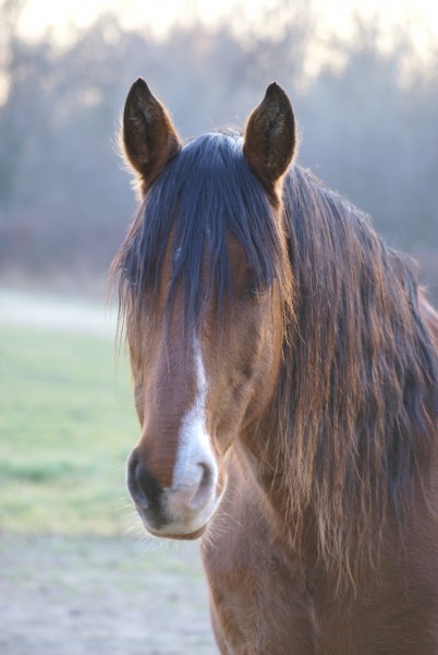 Photo de profil de toubkal