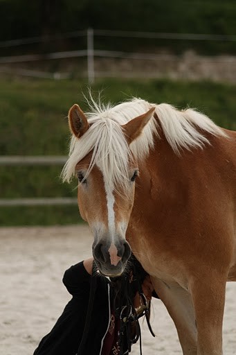 Photo de profil de tessou.