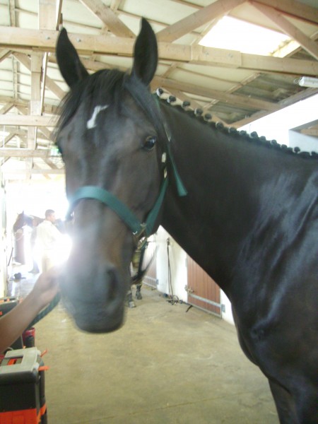 Photo de profil de gallifreys