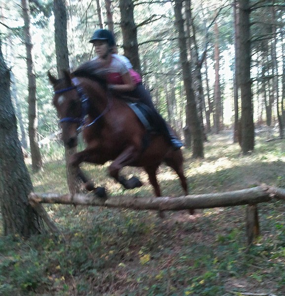 Photo de profil de sambajtm