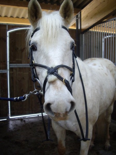 Photo de profil de mme_sirkis