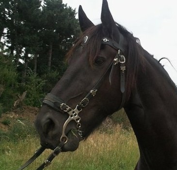 Photo de profil de momowest