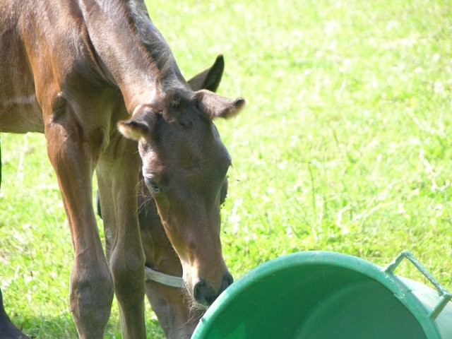 Photo de profil de elwyn