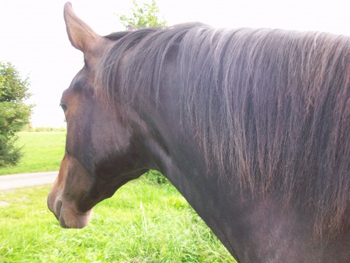 Photo de profil de inine